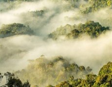 Rwanda - Skrytý klenot Afriky
