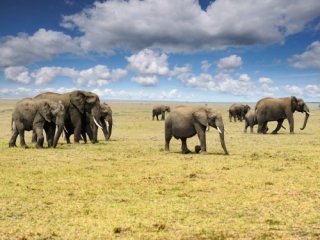 Zážitková Tanzánie - Zanzibar - Šestidenní safari i odpočinek u moře