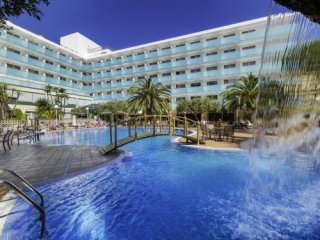 H10 Delfin - Adults Only