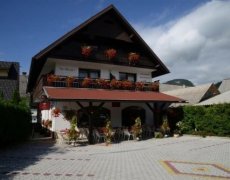 Hostel Vila Bistrica