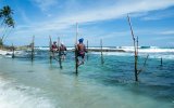 Srí Lanka – Za Krásami Exotického Ostrova