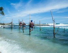 Srí Lanka – Za Krásami Exotického Ostrova