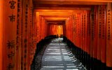 Perly Japonska - Krátká cesta za poznáním toho nejlepšího. Světová výstava EXPO 2025!