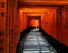 Perly Japonska - Krátká cesta za poznáním toho nejlepšího. Světová výstava EXPO 2025!