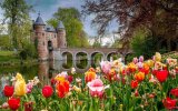 Holandsko a Belgie v Květu Tulipánů