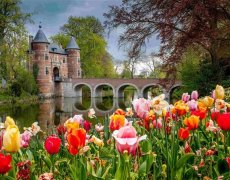 Holandsko a Belgie v Květu Tulipánů