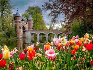 Holandsko a Belgie v Květu Tulipánů