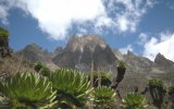 Katalog zájezdů, Uganda - Ruwenzori - horské gorily - Divoké hory v srdci Afriky