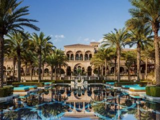 One And Only The Palm
