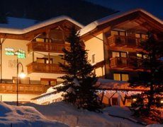 Hotel Dolomites Inn  - Canazei
