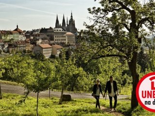 CAROL - Praha 9 - Libeň