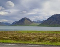 Island - západní fjordy