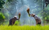 Vietnam a Kambodža