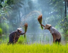 Vietnam a Kambodža
