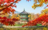 Jižní Korea - Cesta mezi tradicí a modernou