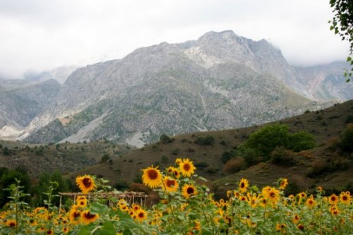 Kyrgyzstán, Uzbekistán