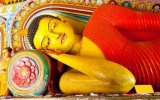 Srí Lanka - Velký Okruh S Pobytem U Moře S All Inclusive