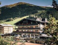 Der Gollinger