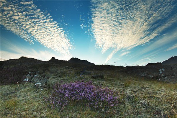Island - mezi ledovci, sopkami a horkými prameny se zatměním Slunce