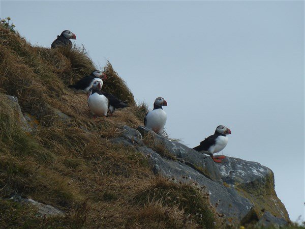 Island - mezi ledovci, sopkami a horkými prameny se zatměním Slunce