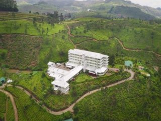 HERITANCE TEA FACTORY 4 HERITANCE TEA FACTORY 4