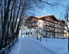 Park Hotel Avisio