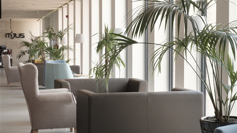 MJUS WORLD - Körmend