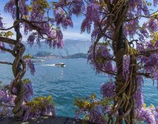 Itálie - Rozkvetlá Italská Jezera