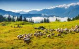 Katalog zájezdů, Pohodový týden v Alpách - Slovinsko - NP Triglav a Slovinské moře