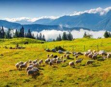 Pohodový týden v Alpách - Slovinsko - NP Triglav a Slovinské moře