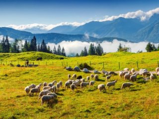 Pohodový týden v Alpách - Slovinsko - NP Triglav a Slovinské moře