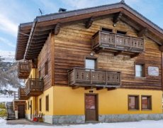 Chalet Sunflower