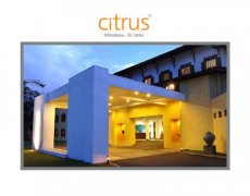 Citrus Hikkaduwa