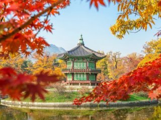 Jižní Korea - Cesta mezi tradicí a modernou