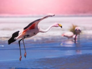 Jižní Amerika jednou za život 2026