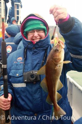 Island – kolem celého ostrova