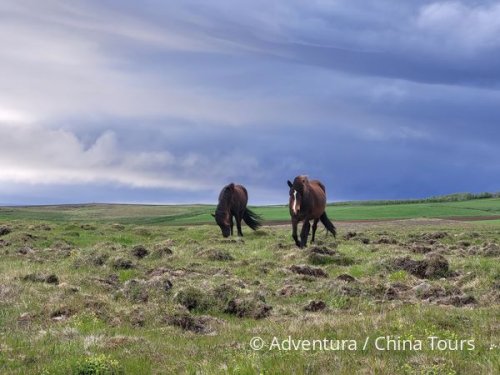 Island – kolem celého ostrova
