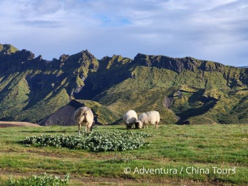 Laugavegur – nejkrásnější islandský trek