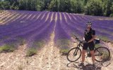 Provence na kole