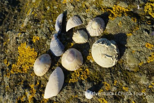 Skotsko – ostrovní skvosty západního pobřeží