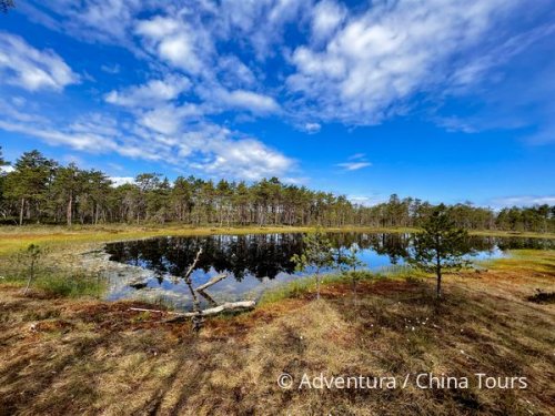 Litva, Lotyšsko, Estonsko