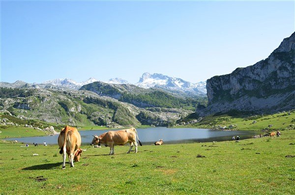 Svatojakubská pouť 2 - severní cestou přes Kantábrii, Asturii a Picos de Europa do Santiaga de Compostela