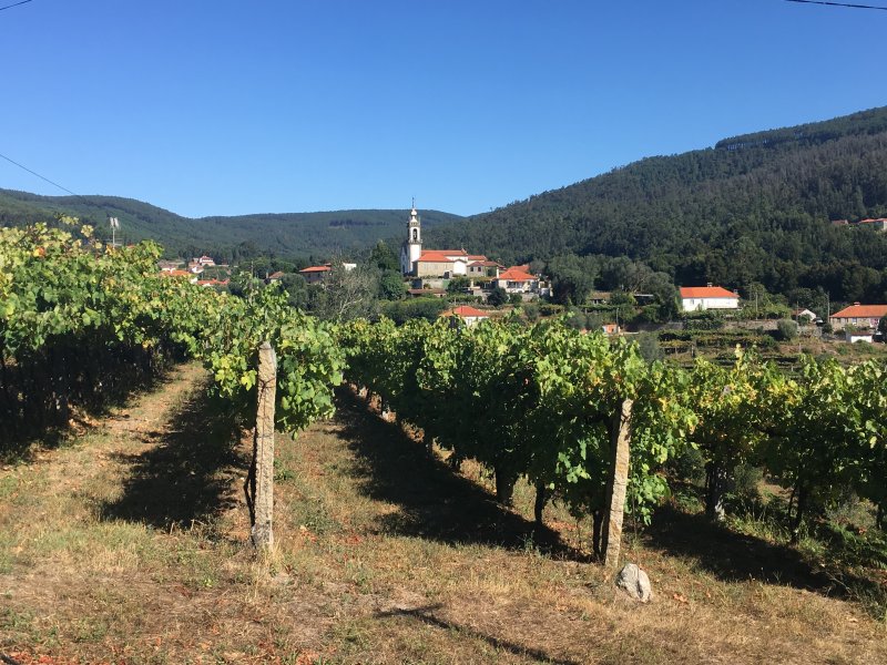 Svatojakubská pouť 3 - portugalská cesta z Porta do Santiaga de Compostela