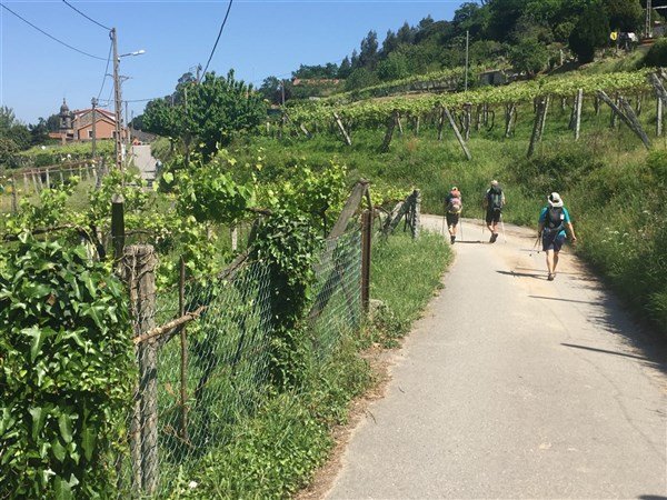 Svatojakubská pouť 3 - portugalská cesta z Porta do Santiaga de Compostela