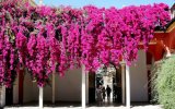 ANDALUSIE V DOBĚ SLAVNOSTI V SEVILLE