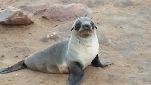 Podivuhodná Namibie