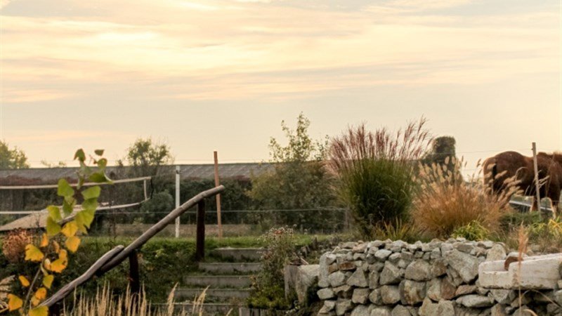 PLAUTER KÚRIA - Veľký Meder