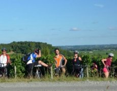 Duny a vinice Bordeaux na kole