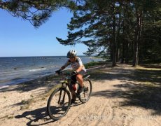 Litva, Lotyšsko a Estonsko na kole