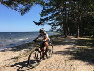 Litva, Lotyšsko a Estonsko na kole Litva, Lotyšsko a Estonsko na kole